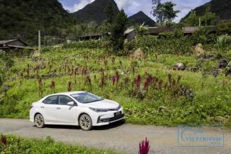 Sapa to Hanoi city / Airport by private car image 0